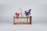 Desk Planters